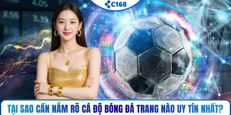 Tại sao cần nắm rõ cá độ bóng đá trang nào uy tín nhất?